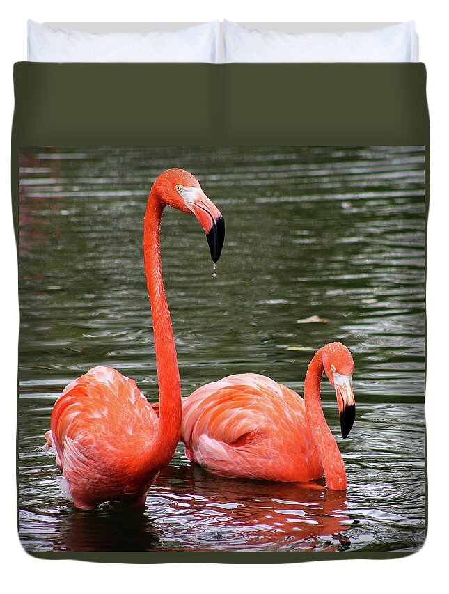Flamingos Duvet Cover featuring the photograph Flamingos by Holly Ross