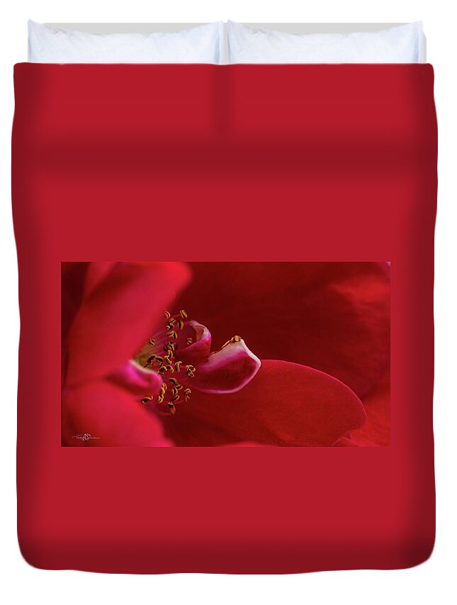 Rosa 'flammentanz' Duvet Cover featuring the photograph Flammentanz by Torbjorn Swenelius