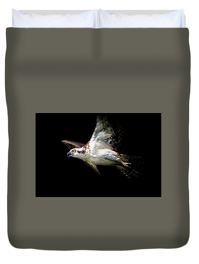 Crystal Yingling Duvet Cover featuring the photograph Flaps Up by Ghostwinds Photography