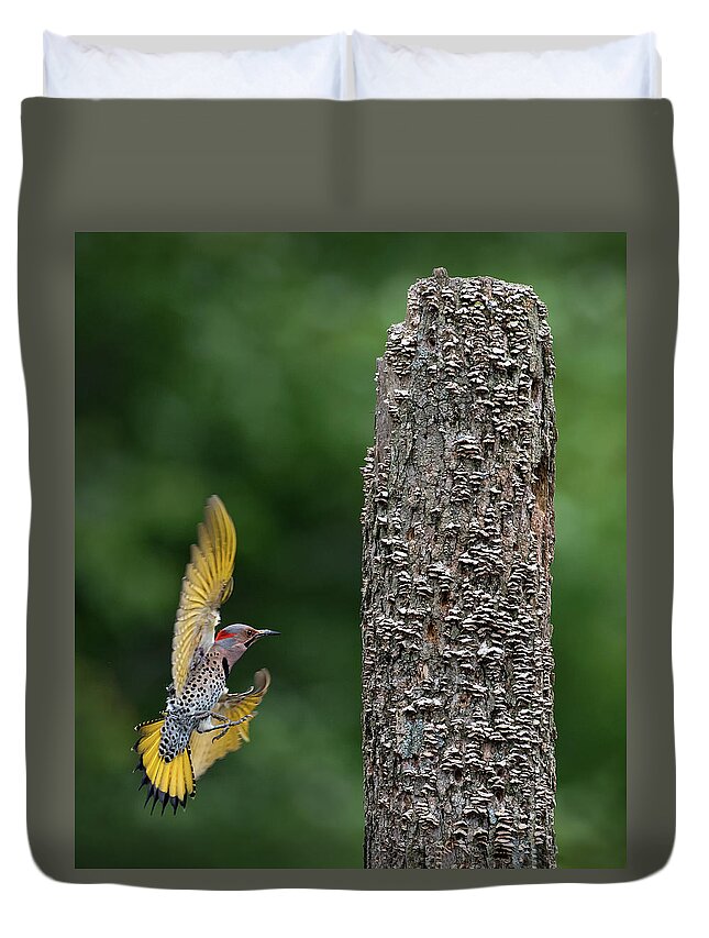 Flicker Duvet Cover featuring the photograph Flash of Yellow by Art Cole