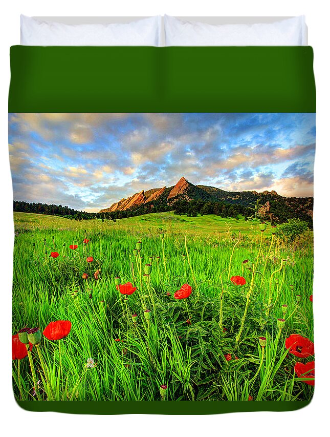 Wildflowers Duvet Cover featuring the photograph Flatiron Poppies by Scott Mahon