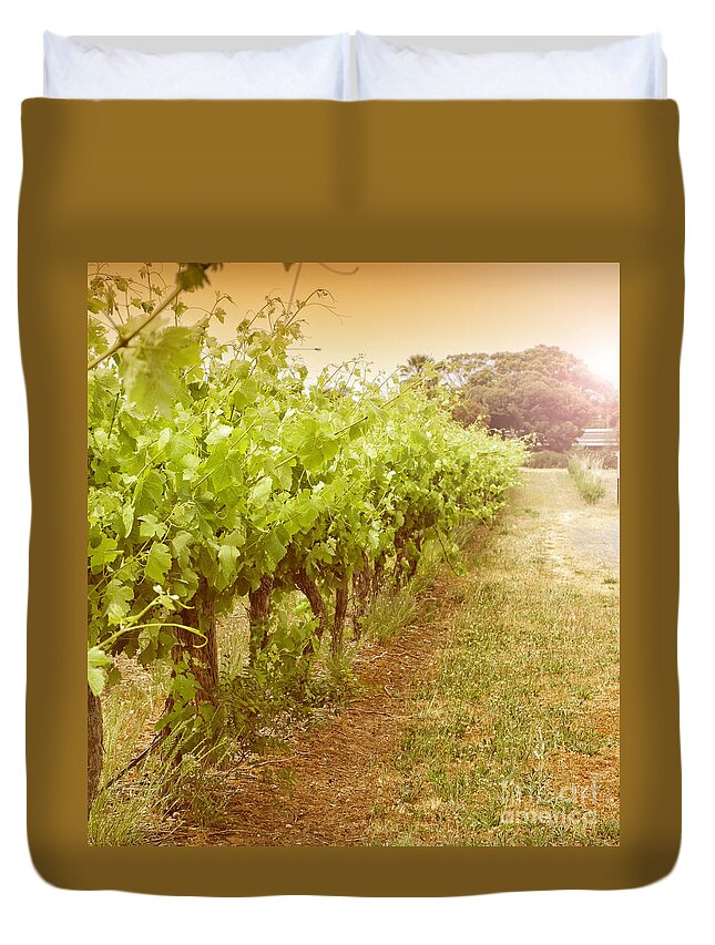 Wine Duvet Cover featuring the photograph Fleurieu grapevines by Milleflore Images