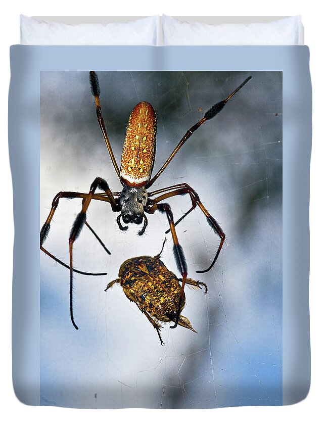 Golden Silk Orb-weaver Duvet Cover featuring the photograph Flew In For Dinner by Christopher Holmes