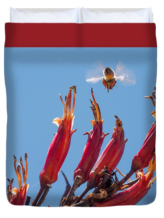 Flowers Duvet Cover featuring the photograph Flight of the Bumble Bee by Derek Dean