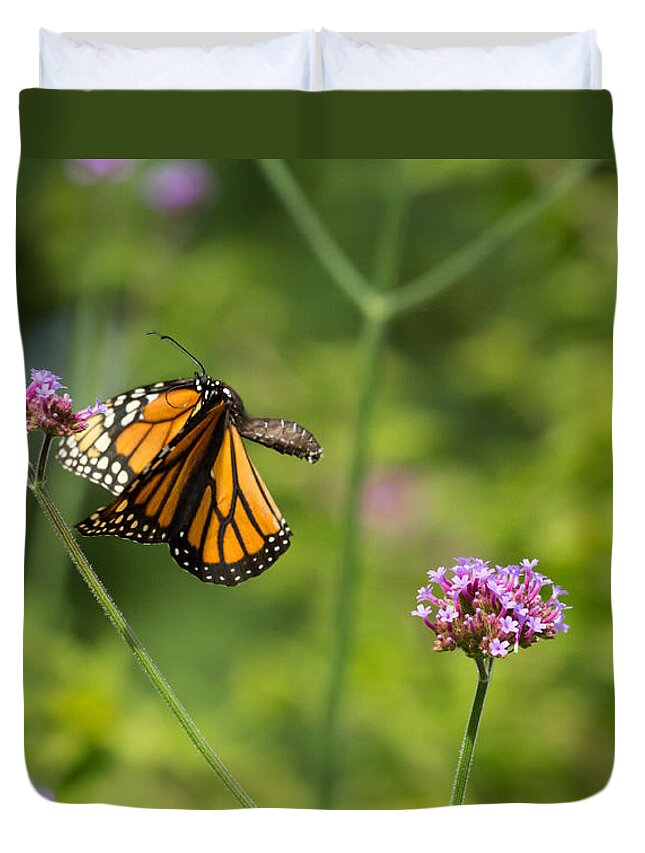 Monarch Duvet Cover featuring the photograph Flight of the Monarch 2 by Brian Hale