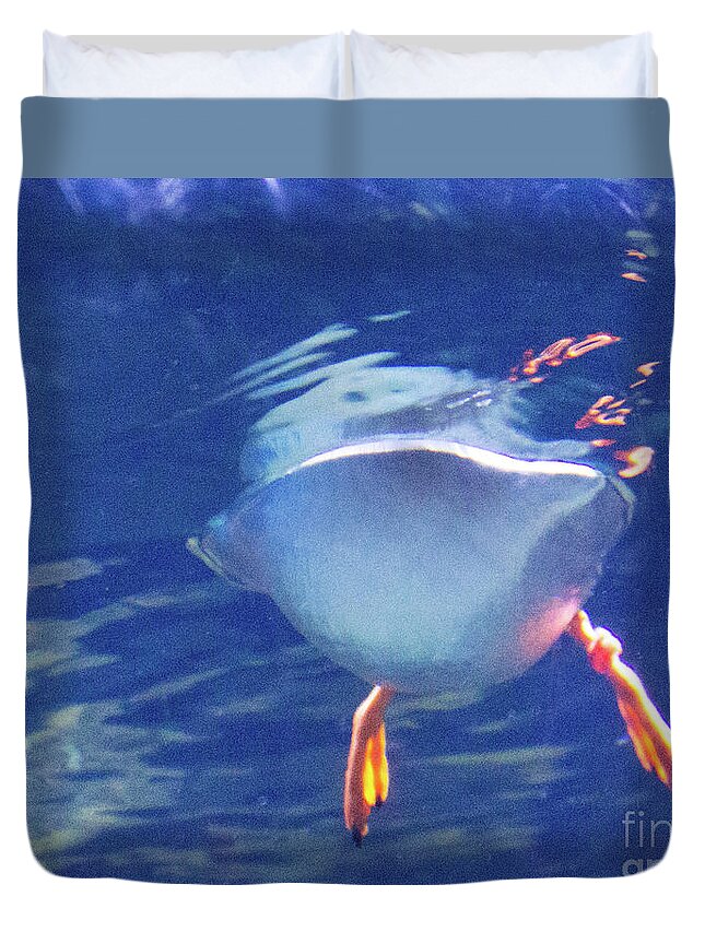 Birds Duvet Cover featuring the photograph Floating by Cheryl Del Toro