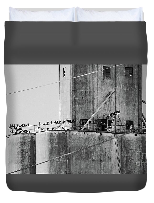 Many Duvet Cover featuring the photograph Flock of blackbirds by Andrea Anderegg