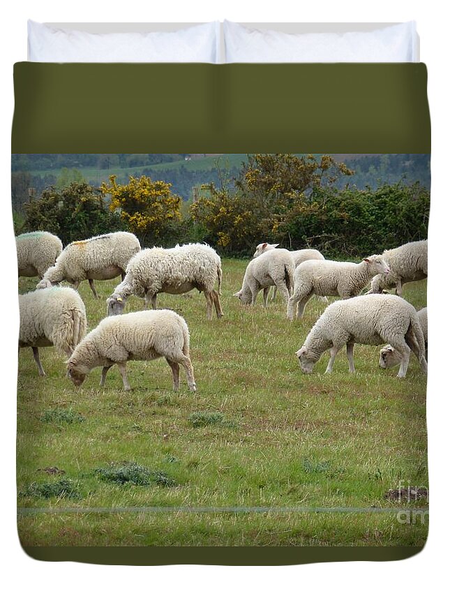 Animals Duvet Cover featuring the photograph Flock of Sheeps by Jean Bernard Roussilhe