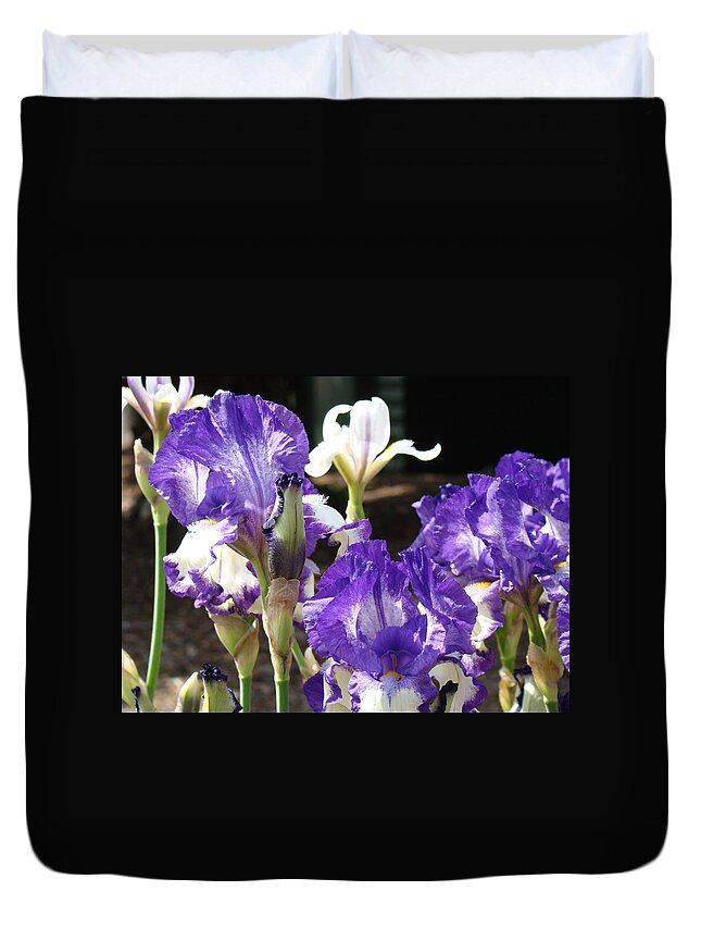 irises Artwork Duvet Cover featuring the photograph Flora Bota Irises Purple White Iris Flowers 29 Iris Art Prints Baslee Troutman by Patti Baslee