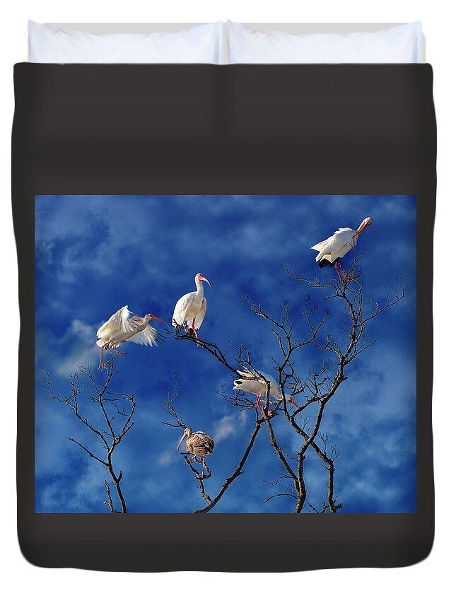 Ibis Duvet Cover featuring the photograph Florida Keys The Exaggerated Ibis by Betsy Knapp