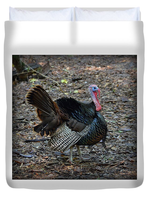 Turkey Duvet Cover featuring the photograph Florida Wild Turkey by Carla Parris