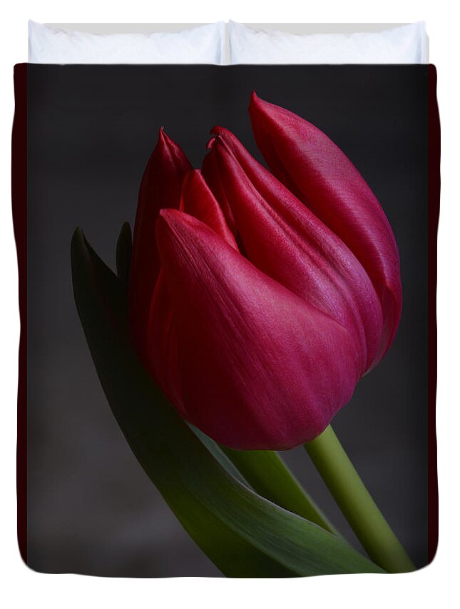 Flower Duvet Cover featuring the photograph Flourishing tulip by Robert WK Clark