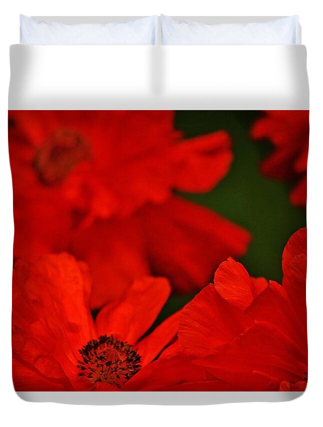 Poppy Duvet Cover featuring the photograph Flower Show Sisters Poppy by William Rockwell