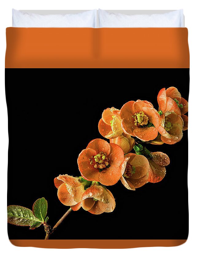 Quince Duvet Cover featuring the photograph Flowering Quince Orange by Mary Jo Allen
