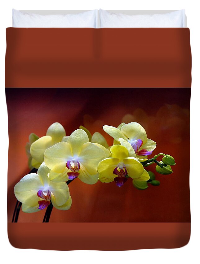 Orchids Photos Duvet Cover featuring the photograph Flowers 723 by Joyce StJames