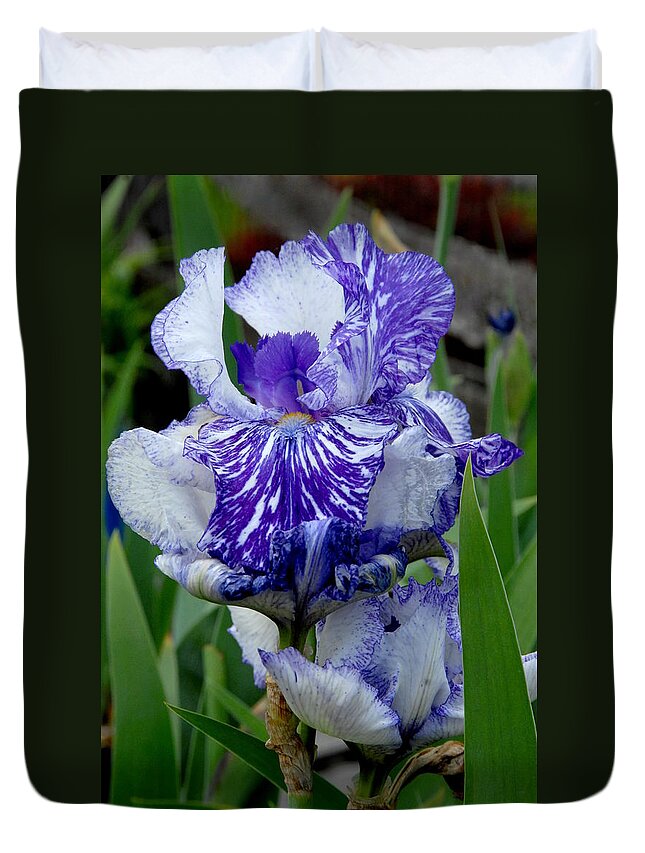 Iris Flower Duvet Cover featuring the photograph Flowers 735 by Joyce StJames
