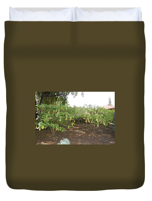 Santa Clara University Duvet Cover featuring the photograph Flowers at SCU by Carolyn Donnell