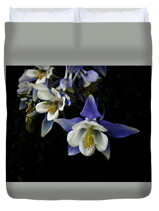 Columbine Duvet Cover featuring the photograph flowers- Columbine - photography by Ann Powell