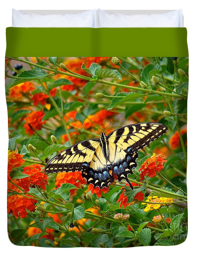 Swallowtail Duvet Cover featuring the photograph Flowers for Butterflies by Sue Melvin