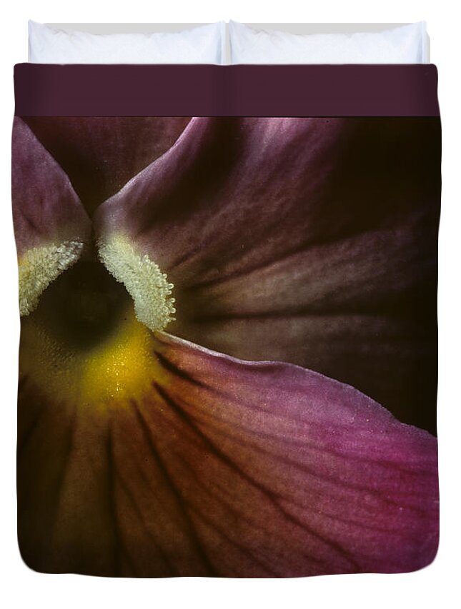 Pansy Duvet Cover featuring the photograph Flowerscape Pansy One by Laura Davis