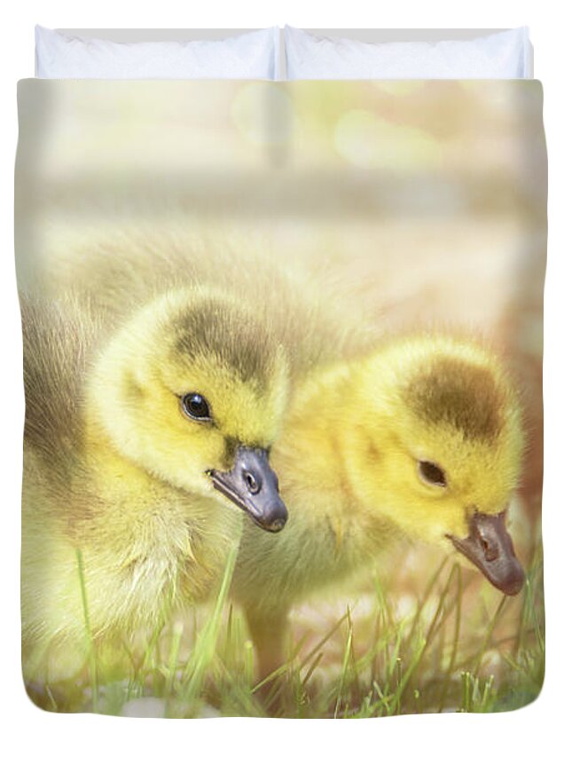 Gosling Duvet Cover featuring the photograph Fluffy Gosling Chicks #3 by Patti Deters