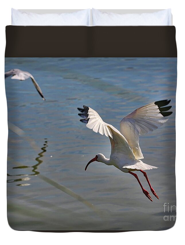 Ibis Duvet Cover featuring the photograph Fly Away by Carol Groenen