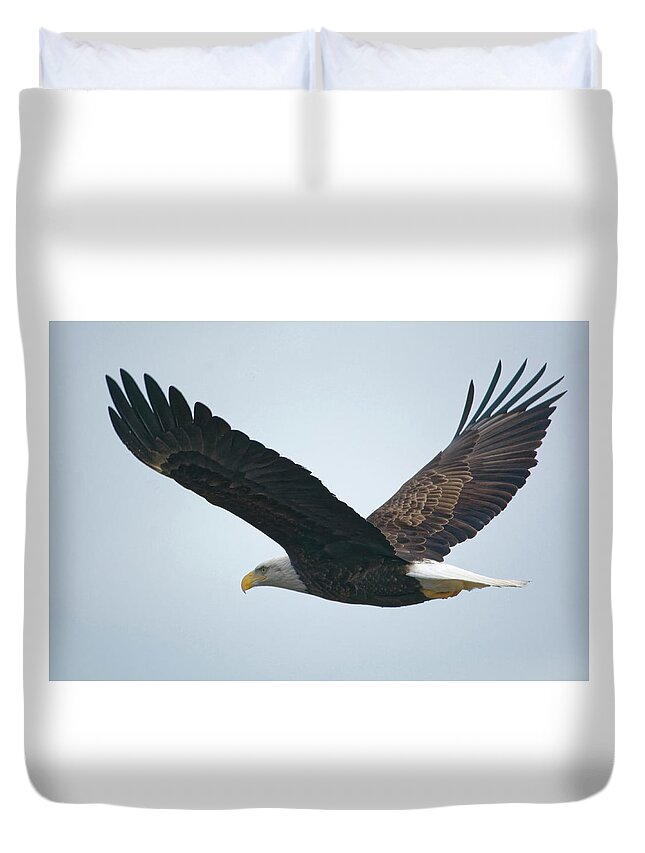 Bald Eagle Duvet Cover featuring the photograph Flying Bald Eagle by Peter Ponzio