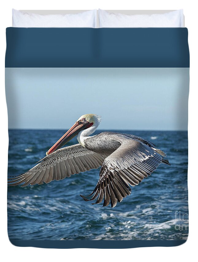 Pelican Duvet Cover featuring the photograph Flying Brown Pelican by Robert Bales
