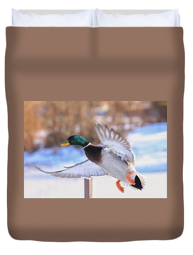 Flying By Duvet Cover featuring the photograph Flying by by Lynn Hopwood