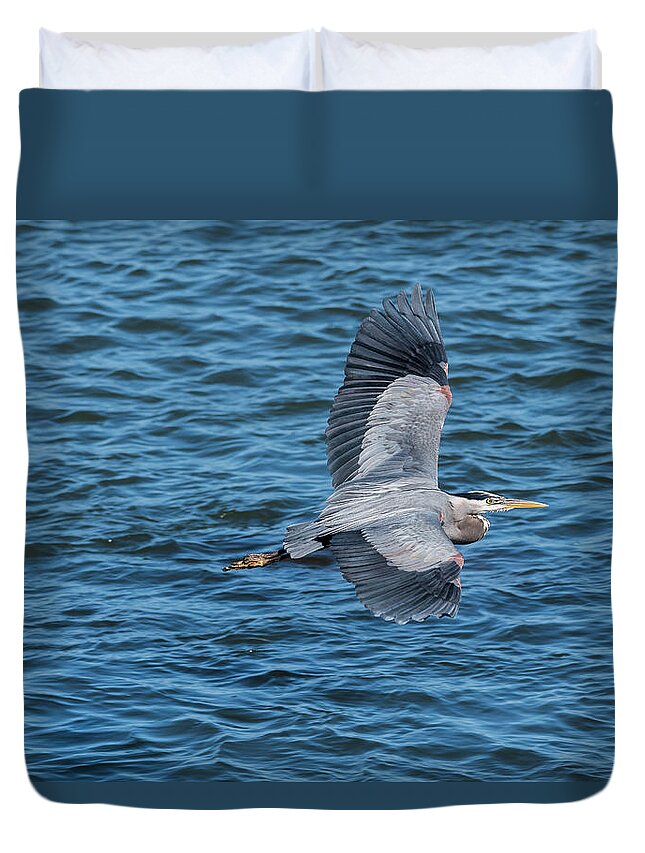 Astoria Duvet Cover featuring the photograph Flying Heron by Robert Potts