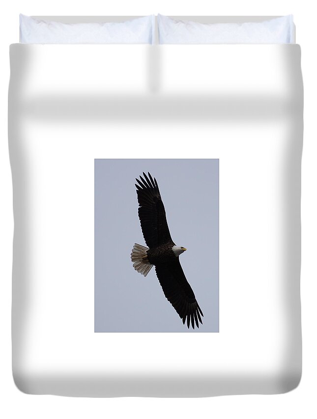 Adult Eagle Duvet Cover featuring the photograph Flying High by Beth Collins