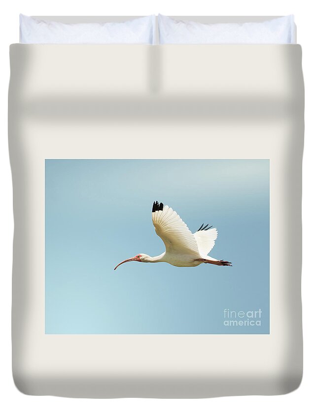 Animal Duvet Cover featuring the photograph Flying White Ibis by Robert Frederick