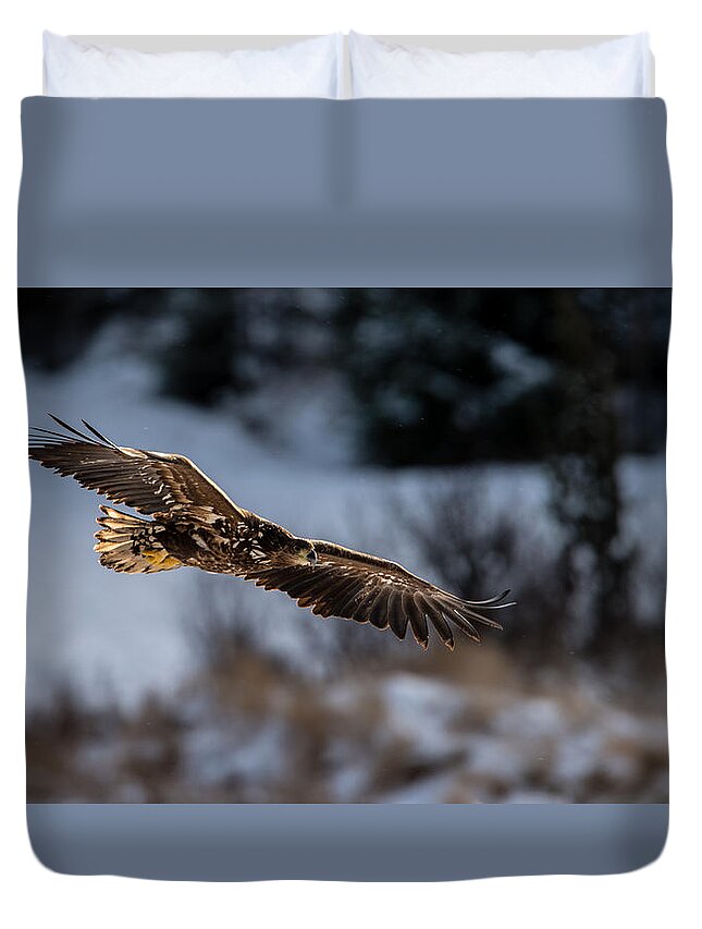 Flying White-tailed Eagle Duvet Cover featuring the photograph Flying White-tailed Eagle by Torbjorn Swenelius
