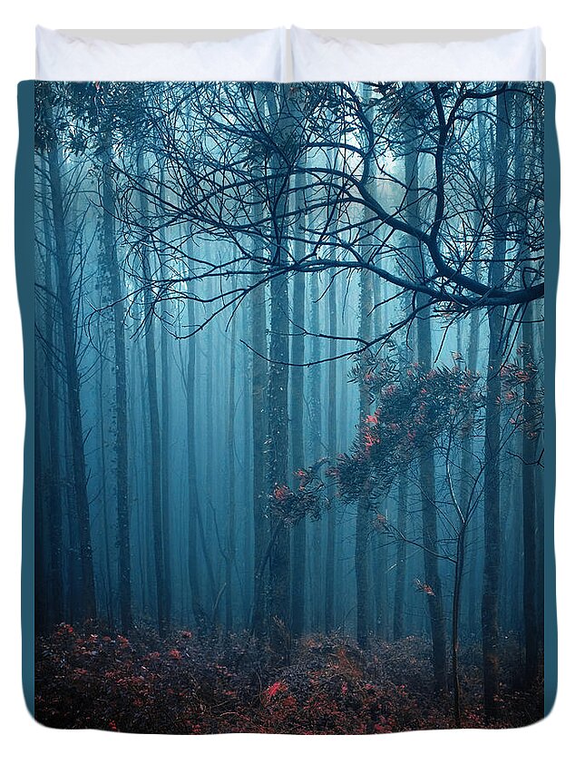 Nobody Duvet Cover featuring the photograph Foggy Forest by Carlos Caetano