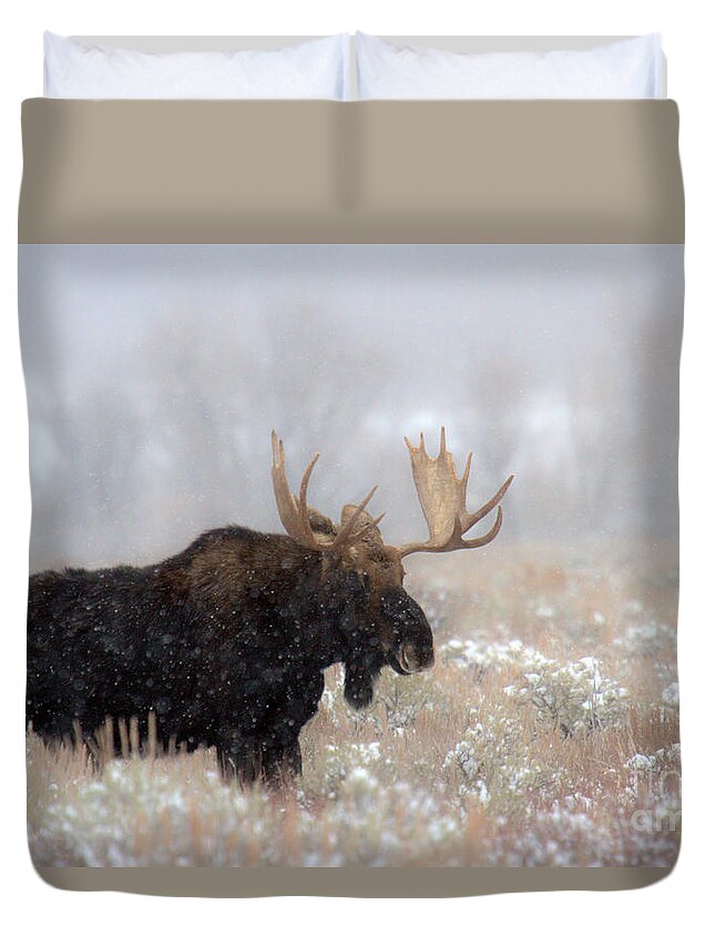 Moose Duvet Cover featuring the photograph Foggy Moose Silhouette by Adam Jewell