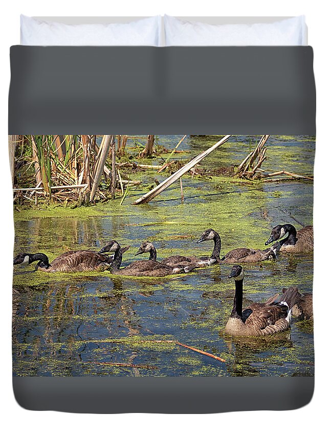 Geese Duvet Cover featuring the photograph Follow the Leader by Susan Rissi Tregoning