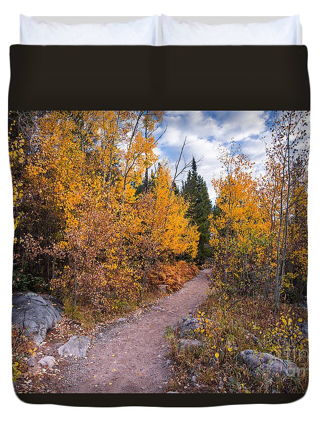 Estes Duvet Cover featuring the photograph Follow the Yellow Road - Glacier Gorge Rocky Mountain National Park - Estes Park Colorado by Silvio Ligutti