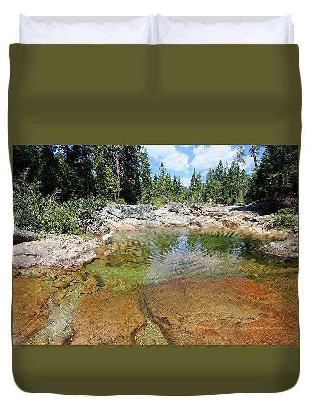 Sierra Duvet Cover featuring the photograph Follow Your Streams by Sean Sarsfield