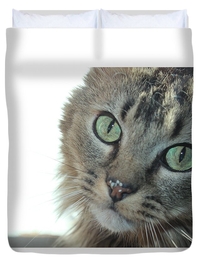 Cats Duvet Cover featuring the photograph Folsom Portrait by Sandra Dalton
