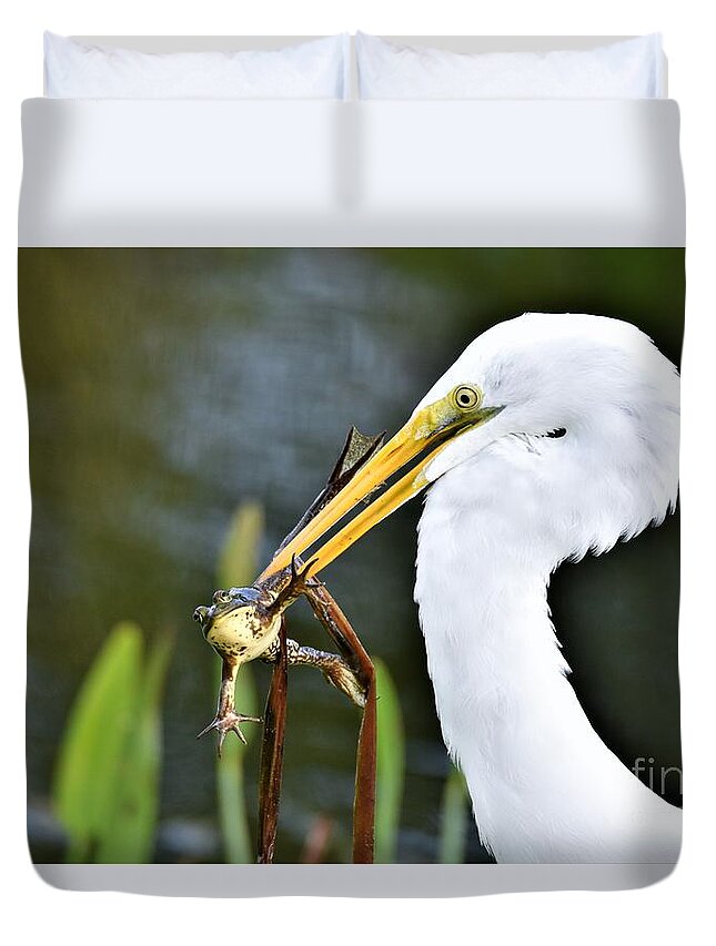 Great White Egret Duvet Cover featuring the photograph Food Chain by Julie Adair