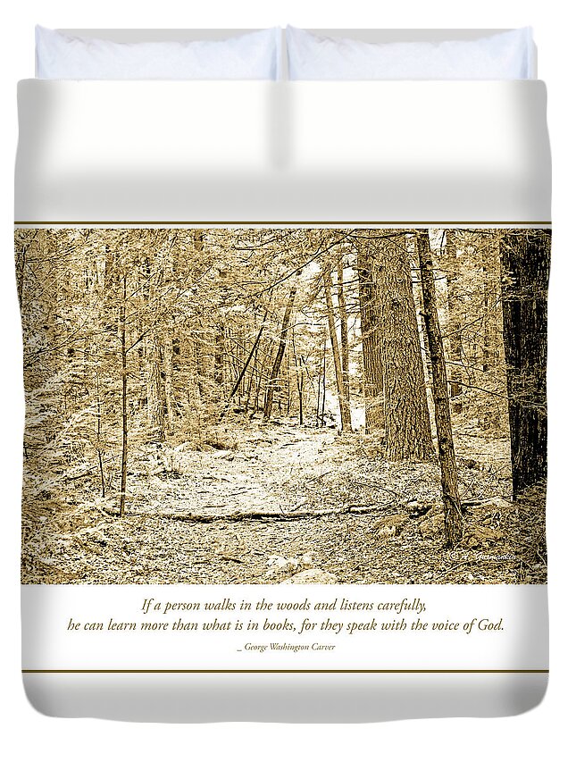 Forest Duvet Cover featuring the photograph Forest Interior Path, Pocono Mountains by A Macarthur Gurmankin