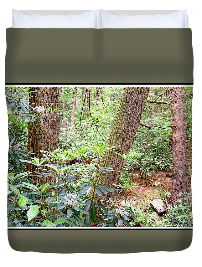 Forest Interior Duvet Cover featuring the photograph Forest Interior with Mountain Laurel by A Macarthur Gurmankin