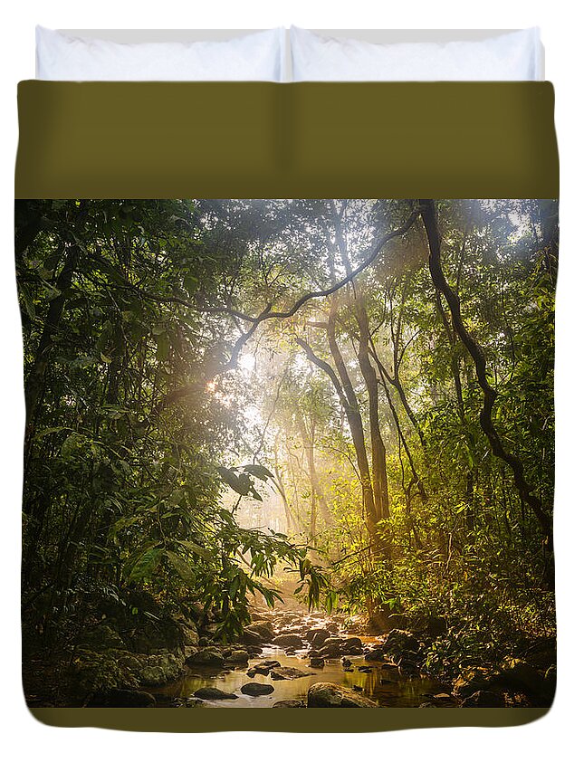 Forest Duvet Cover featuring the photograph Forest light at Western Ghats in Karnataka in India by Vishwanath Bhat