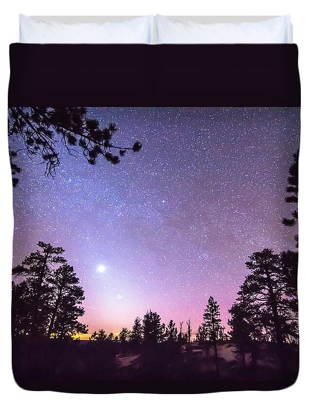 Sky Duvet Cover featuring the photograph Forest Night Star Delight by James BO Insogna