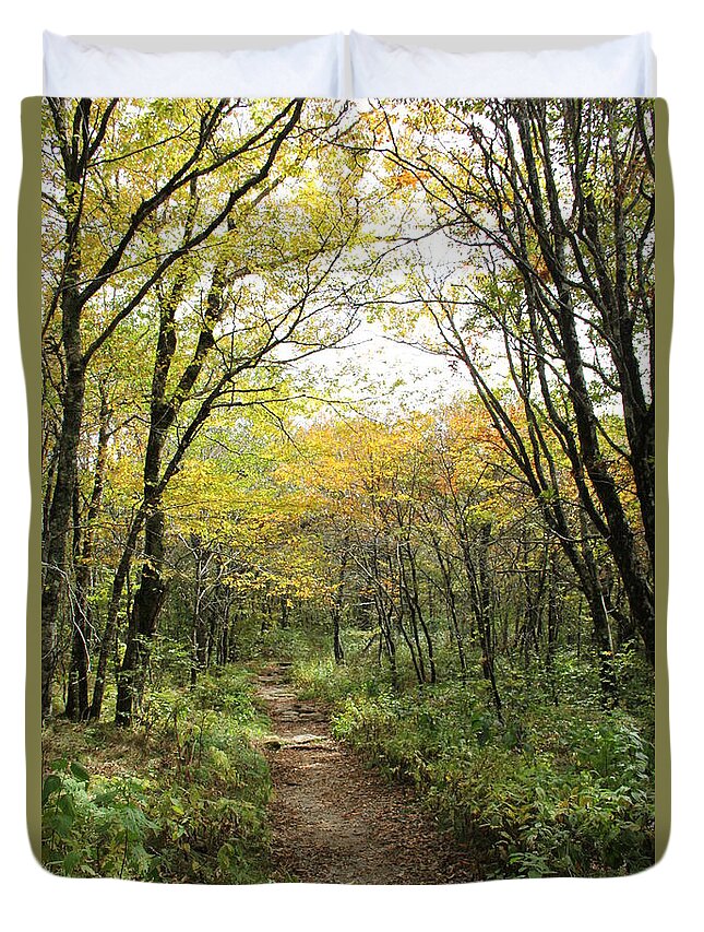 Bright Path Duvet Cover featuring the photograph Forest Trail by Allen Nice-Webb