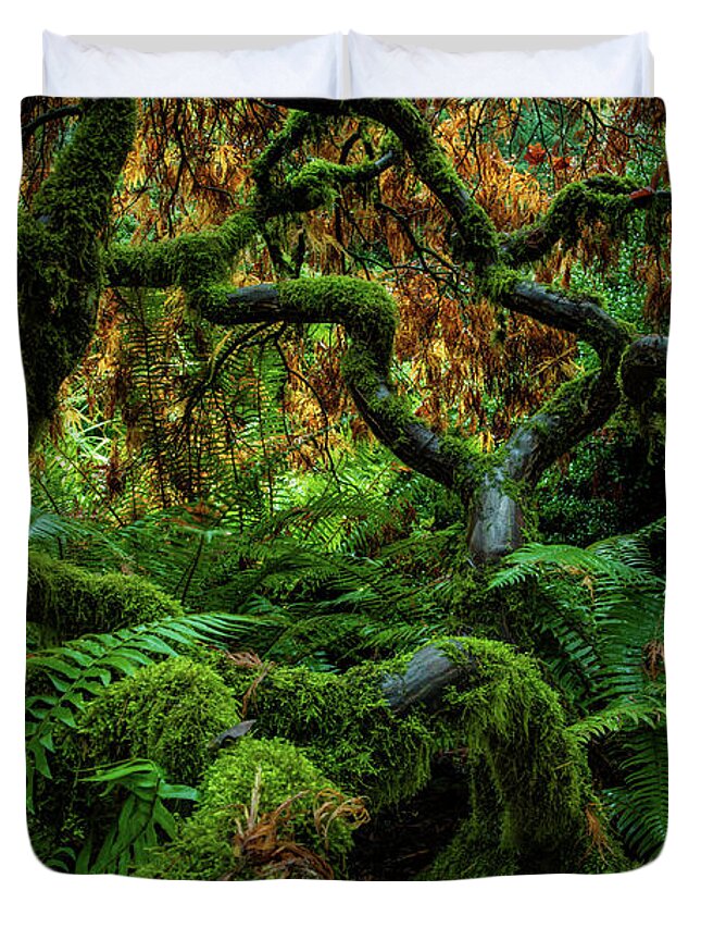 5dsr Duvet Cover featuring the photograph Forever Green by Edgars Erglis