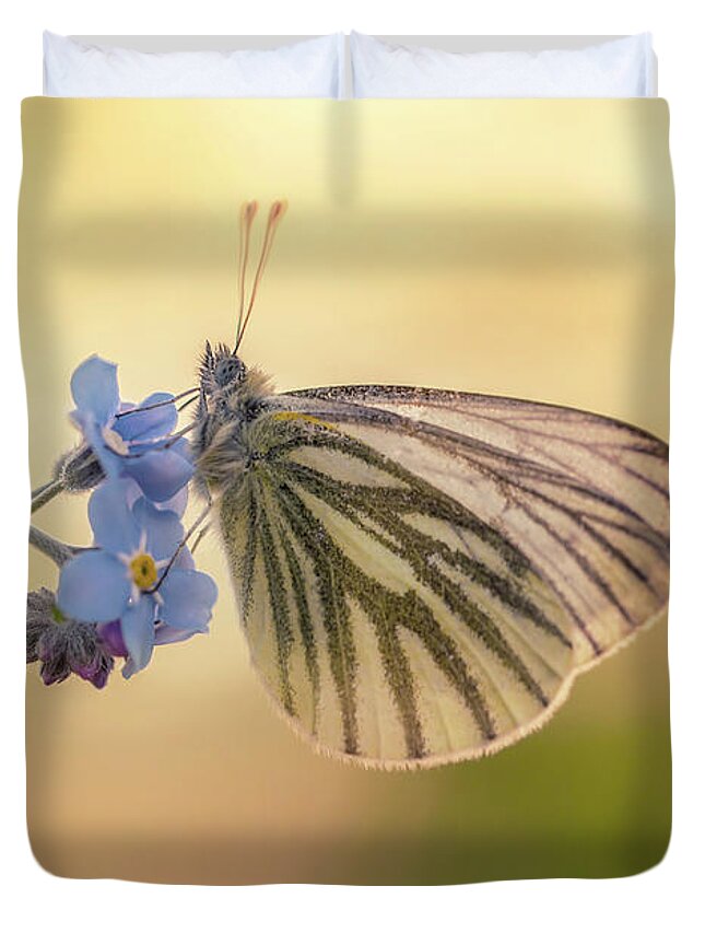 Macro Duvet Cover featuring the photograph Forget me not by Jaroslaw Blaminsky