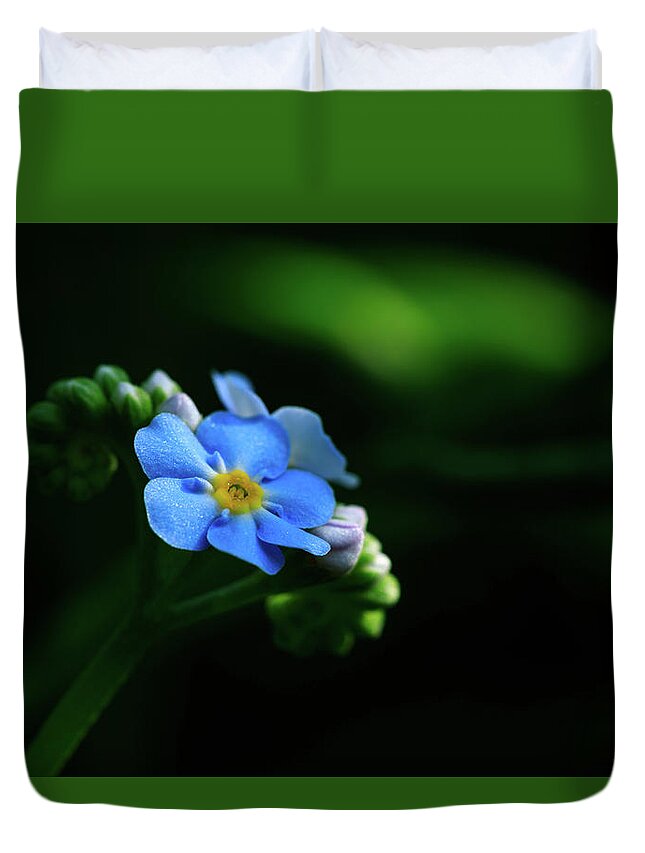 Forget-me-not Duvet Cover featuring the photograph Forget-me-not by Rob Davies