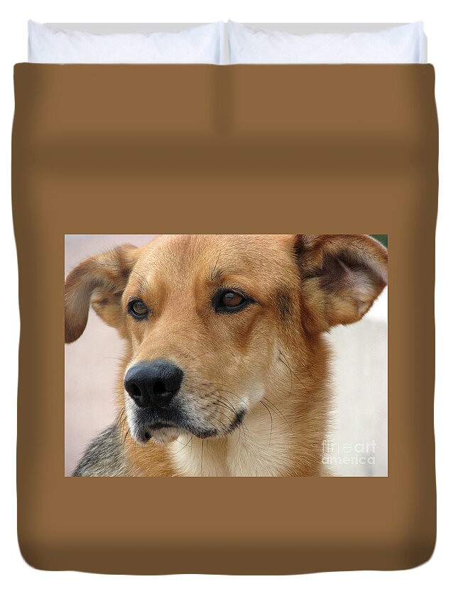 Dogs Duvet Cover featuring the photograph Foster by Amanda Barcon