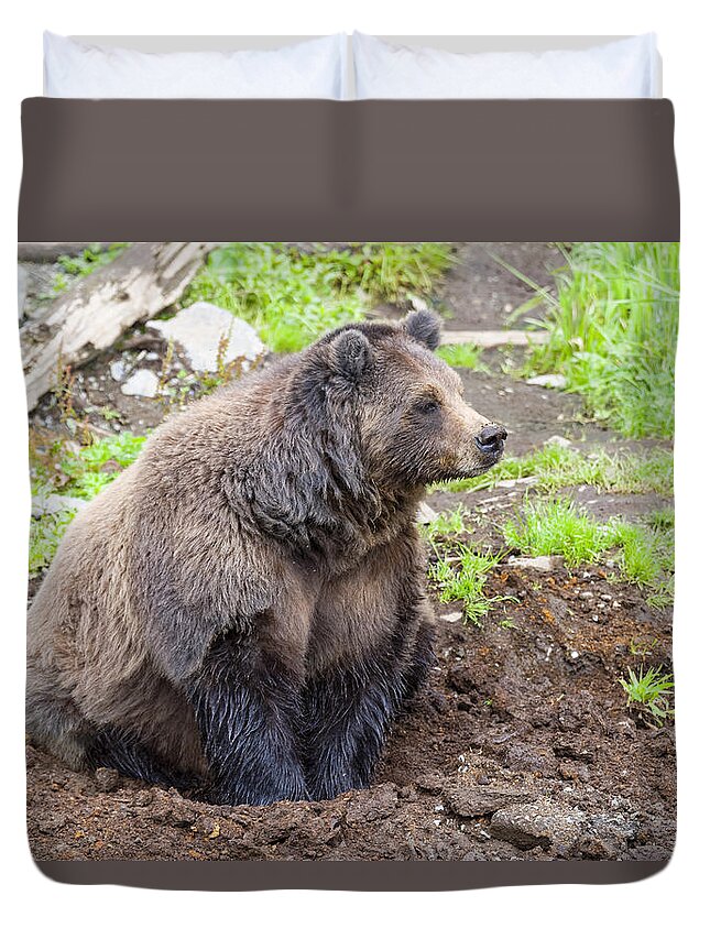 Wildlife. Brown Bear Duvet Cover featuring the photograph Found a Hole by Harold Piskiel